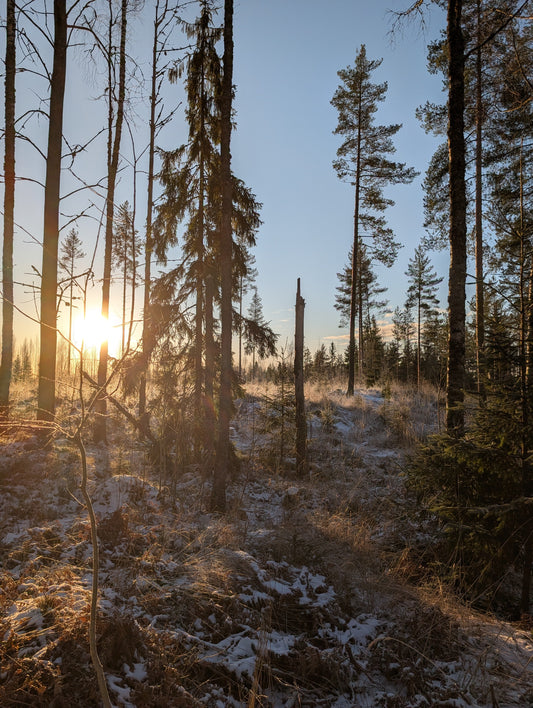 Why is Finland promoting jobs to candidates abroad if relocating with visa support is so difficult?